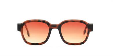 Looklight Güneş Gözlüğü Clematis Chocolate Brown Degrade (LL504)