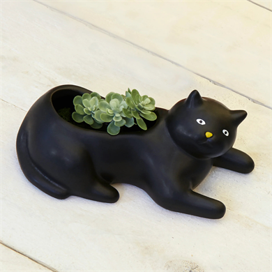 Kikkerland Cosmo the Black Cat Planter-Saksı Siyah Kedi