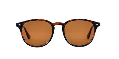 Looklight Güneş Gözlüğü Langdon Chocolate (LL412)