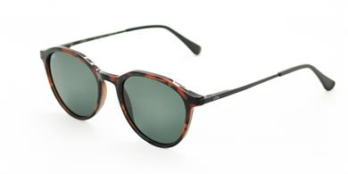 Looklight Güneş Gözlüğü Gregor Chocolate Green (LL425)