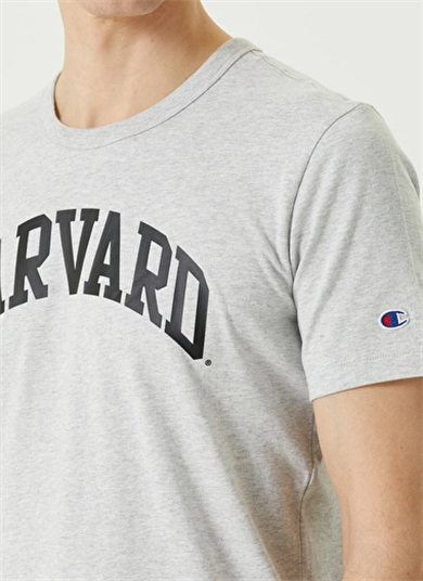 Champion Tshirt Harward Gri