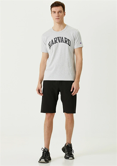 Champion Tshirt Harward Gri