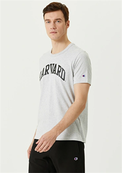 Champion Tshirt Harward Gri
