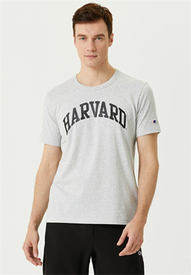 Champion Tshirt Harward Gri