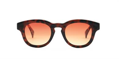 Looklight Güneş Gözlüğü Pinus Chocolate Brown Degrade (LL492)