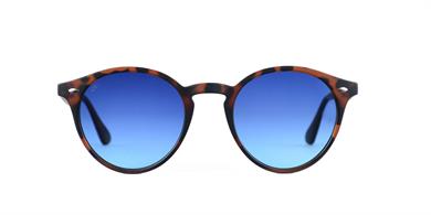 Looklight Güneş Gözlüğü Letoon Matte Chocolate Blue Degrade (LL431)