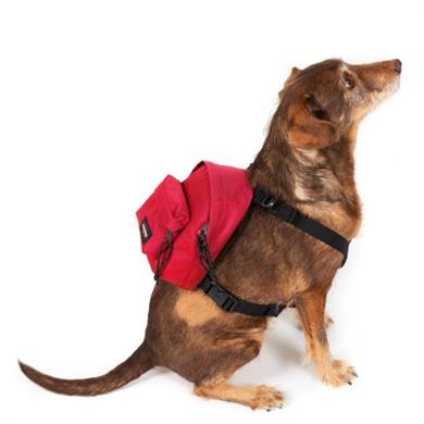 Eastpak Köpek Sırt Çantası Dog PakR Sailor Red