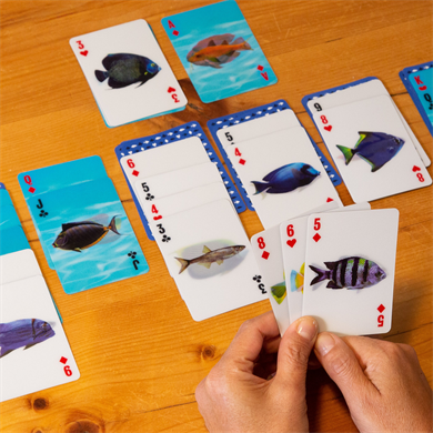 Kıkkerland 3-D Fish Cards-3-D Oyun Kartı Balık Temalı