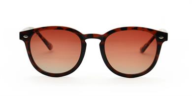 Looklight Güneş Gözlüğü Langdon Bold Chocolate (LL962)