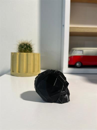 Kurukafa Penalık, Pena Standı