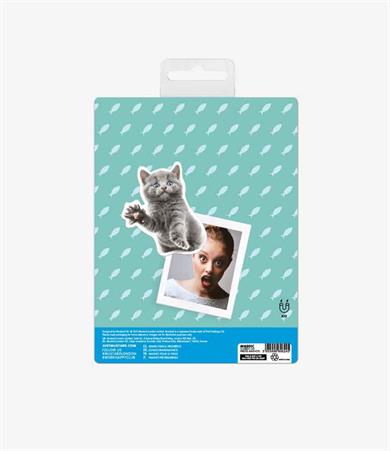 Mustard Magnet Kedi Scaredy Cats