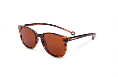 Parafina Güneş Gözlüğü Arroyo Amber Tortoise Caramel