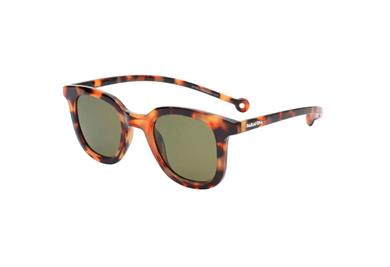 Parafina Güneş Gözlüğü Cauce Tortoise Green