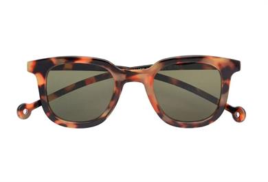 Parafina Güneş Gözlüğü Cauce Tortoise Green