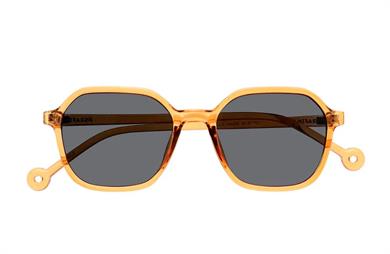 Parafina Güneş Gözlüğü Valle Caramel Black