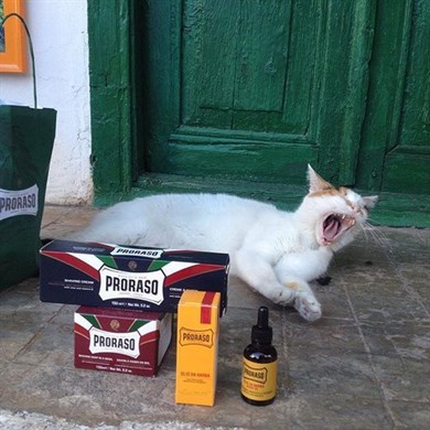 Proraso Tıraş Köpüğü Yeşil Çay Özlü 300 ml.