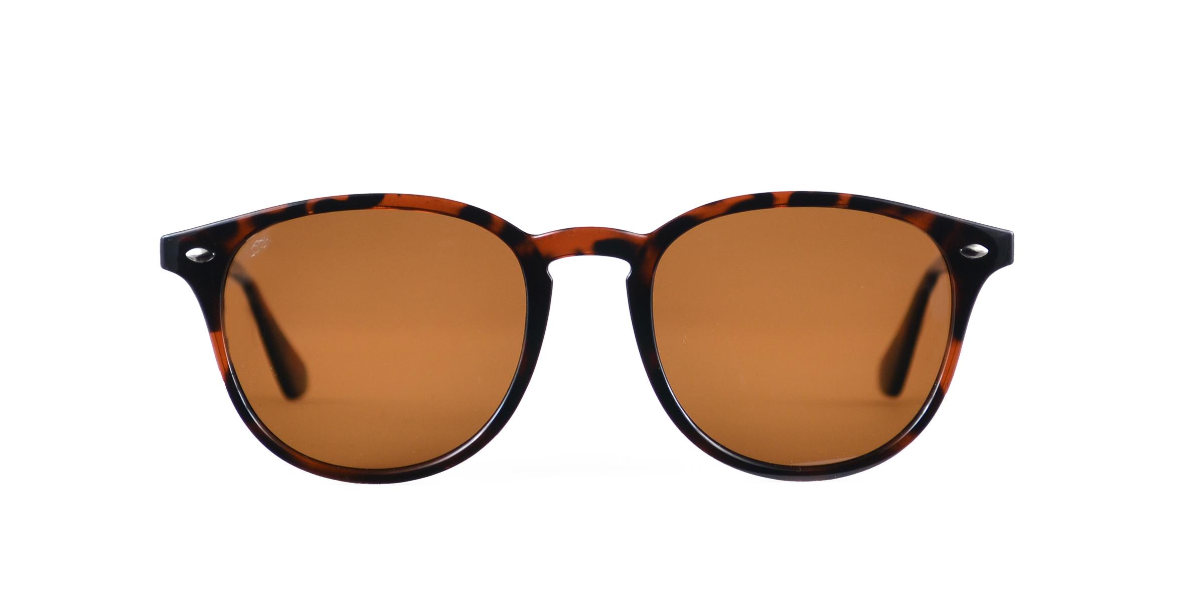 Looklight Güneş Gözlüğü Langdon Chocolate (LL412)_LL2240 / 04 / DB9