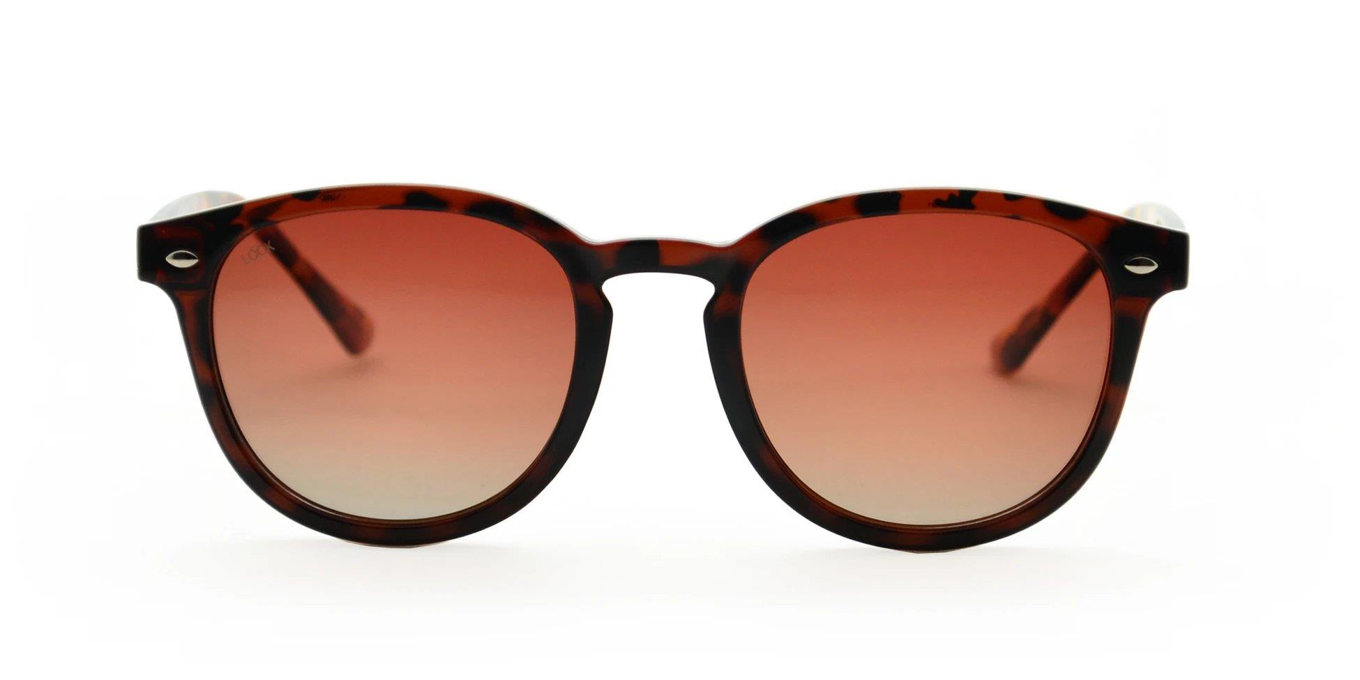 Looklight Güneş Gözlüğü Langdon Bold Chocolate (LL962)_LL8024 / B44 / DRT-15