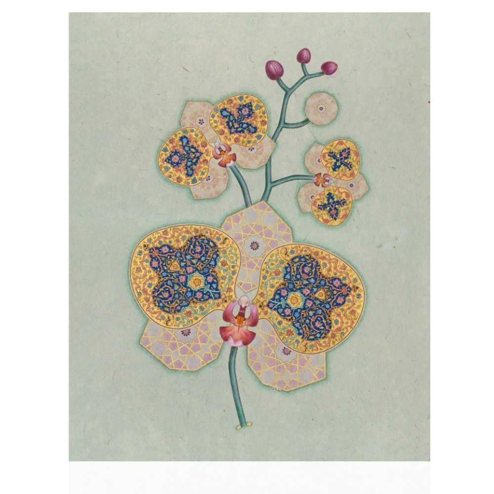 Zeynep Merve Tiryaki Fineart Baskı - Orkide