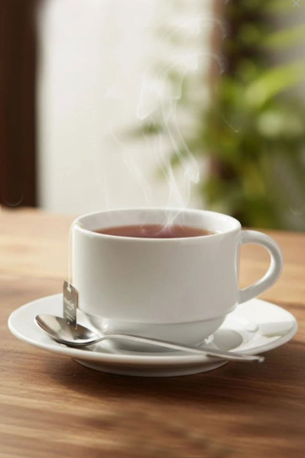 Güral Porselen Istanbul Çay ve Nescafe  Fincan Tabaklı1 Adet 170 Cc