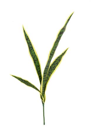 Yapay Paygamber Kılıcı Çiçeği 77 Cm 5 Dal