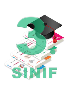 3. Sınıf