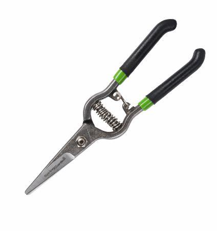 Spring Garden Üzüm Makası İzole Saplı