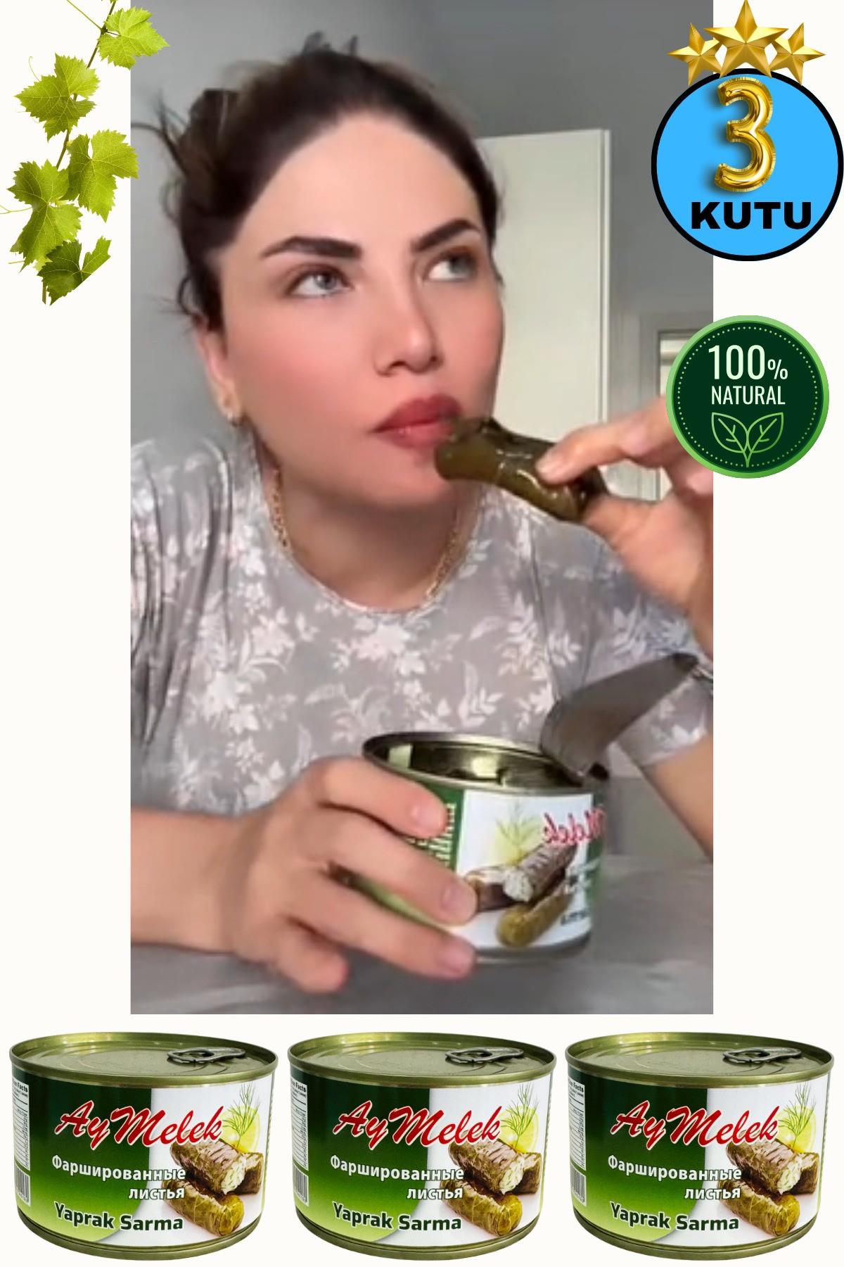 Yaprak Sarma (3 KUTU) Yerli Üretim 400 gr Doğal Besin Deposu Hazır Yemek