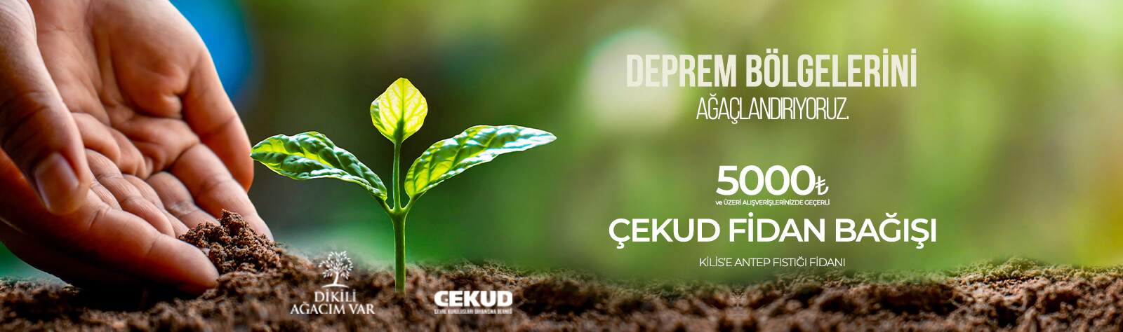 Deprem Bölgesini Ağaçlandırıyoruz