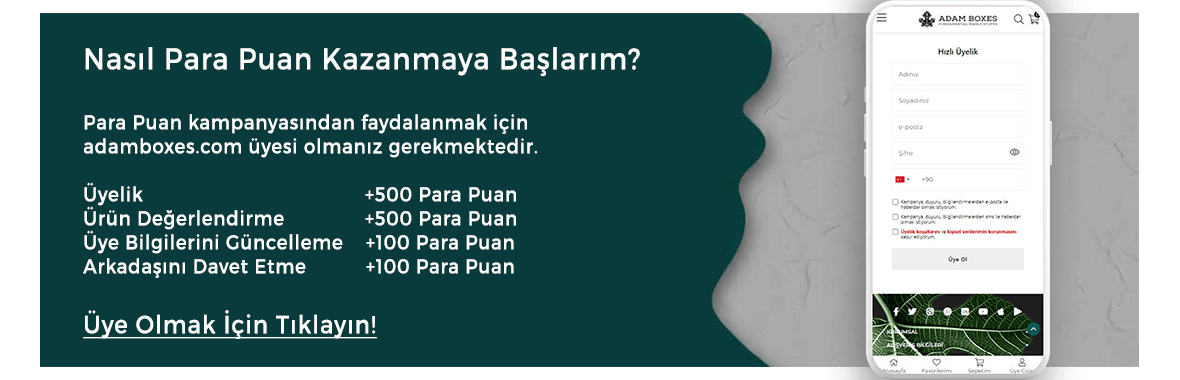 Para Puan Kampanyası