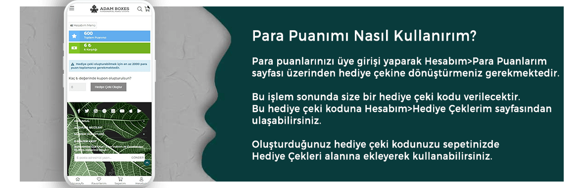 Para Puan Kampanyası