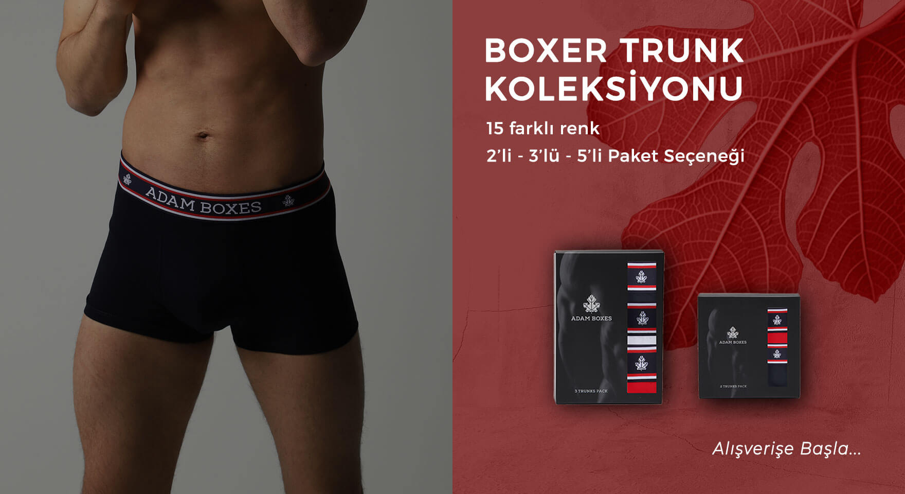 adamboxesboxer