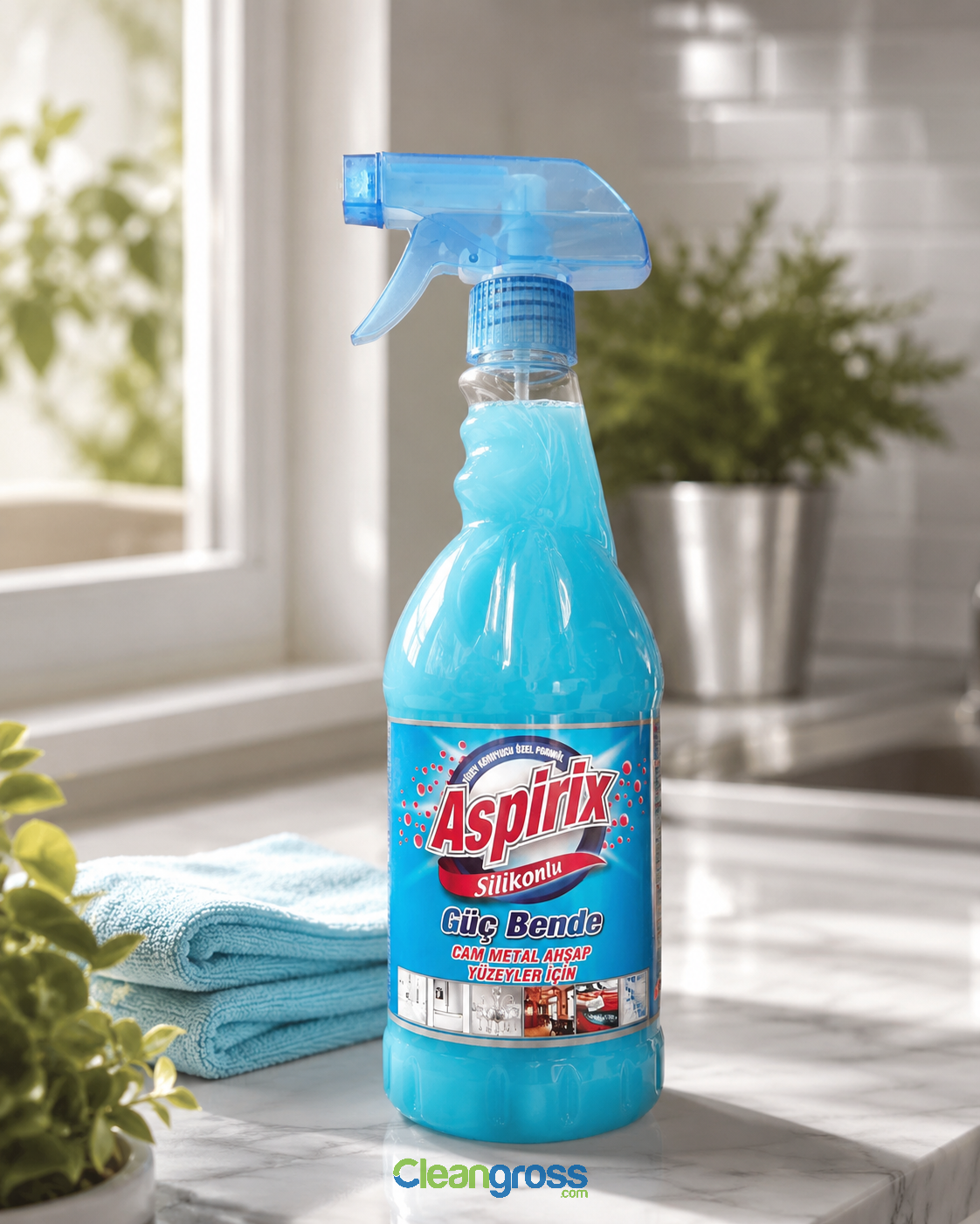 Aspirix Silikonlu Cam Metal Ahşap Yüzey Temizleyici 750 ml