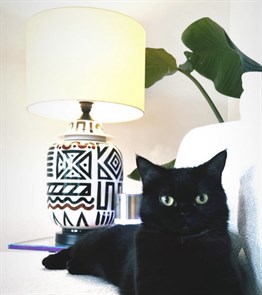 Taro Lamp