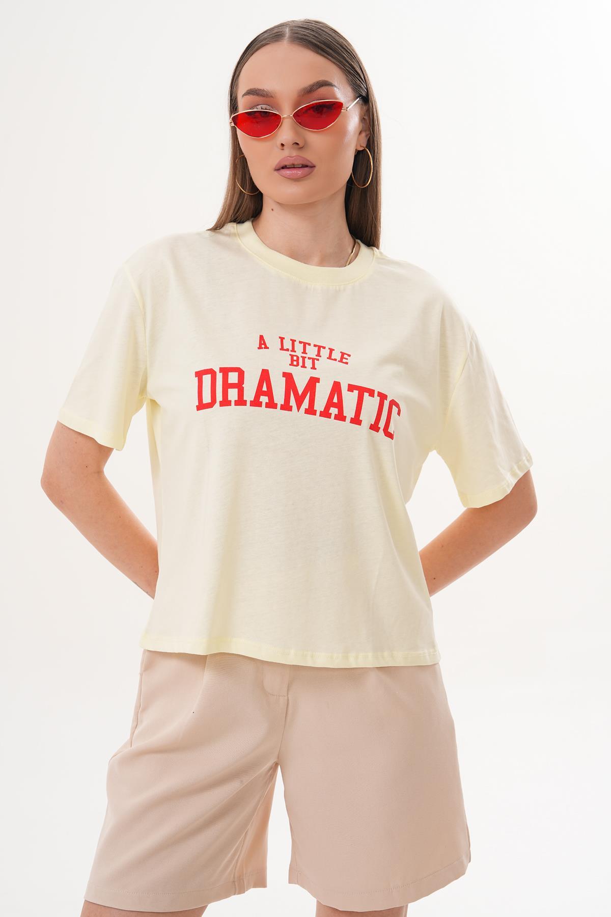Kadın Baskı Detaylı Bisiklet Yaka Oversize Tişört 260253 -
