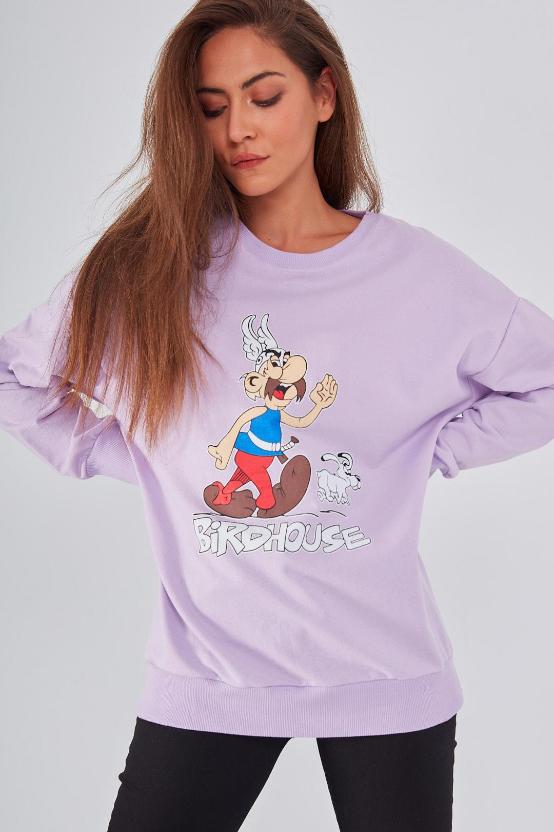 Asteriks Karakter Baskılı Bisiklet Yaka Sweatshirt