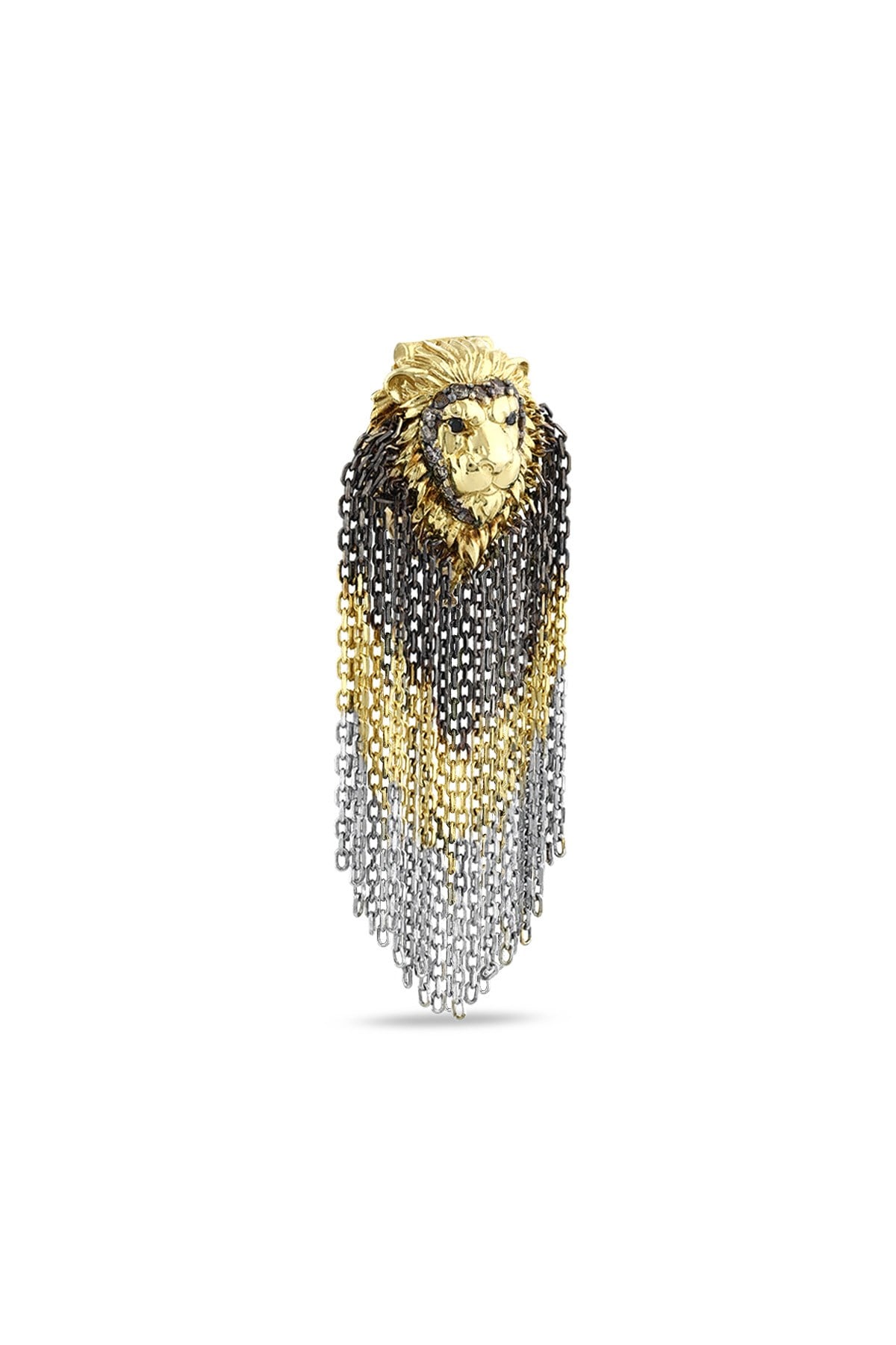 ASLAN CHARM 