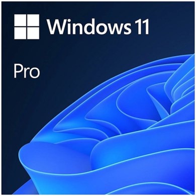 MS Windows 11 Pro FQC-10528 64BIT ENG (OEM)
