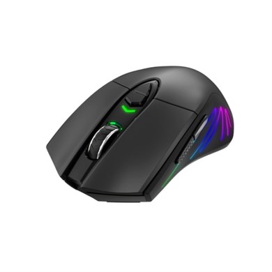 GameNote MS1021W  Kablosuz RGB Gaming Mouse Siyah