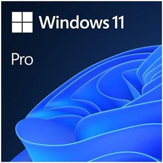Microsoft-Microsoft Windows 11 Pro ESD Lisans TR/ENG FQC-10572