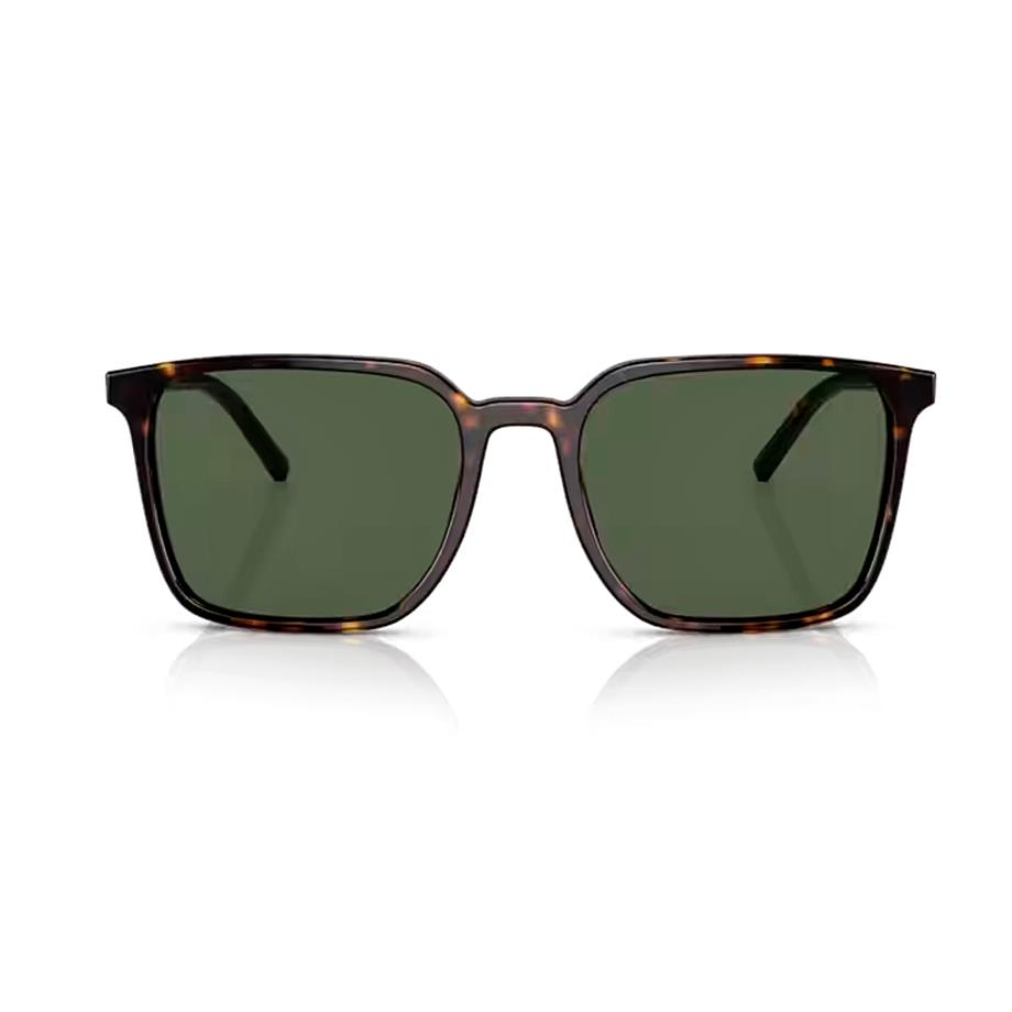 Dolce Gabbana DG 4424 5029A 56 Erkek Kahverengi Kare Güneş Gözlüğü
