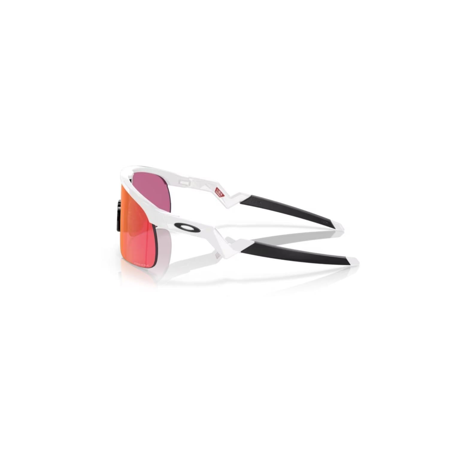 Oakley OAK 0OJ9010 901004 23 Resistor Unisex Geometrik Beyaz Kemik Güneş Gözlüğü