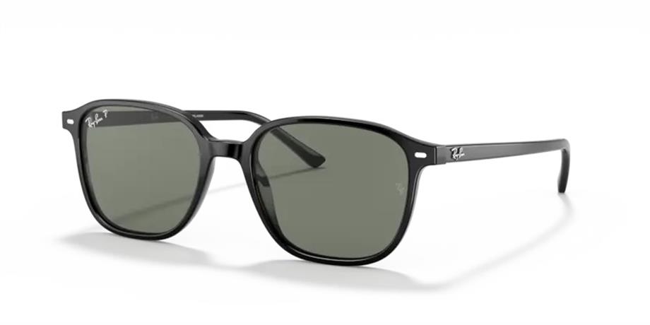 Ray-Ban RB 2193 90158 53 Leonard Polarize Unisex Güneş Gözlüğü