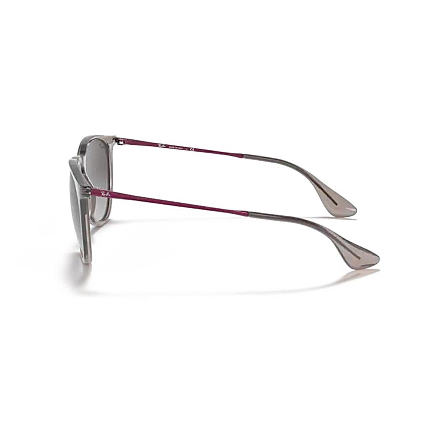 Ray-Ban RB 4171 65138G 54 Erika Unisex Güneş Gözlüğü