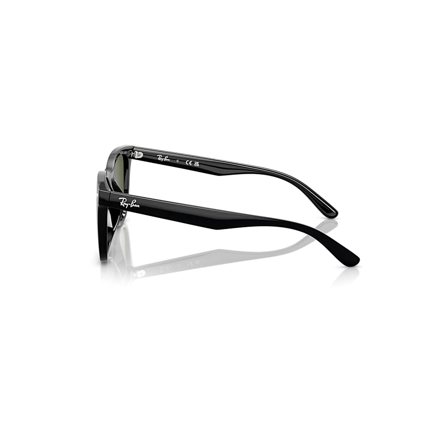 Ray-Ban RB 4420 6019A 65 Polarize Unisex Kare Siyah Kemik Güneş Gözlüğü