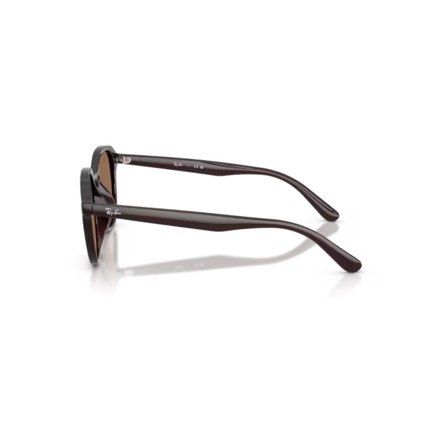 Ray-Ban RB 4459D 623173 54 Unisex Kare Kahverengi Kemik Güneş Gözlüğü