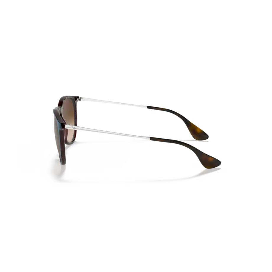 Ray-Ban RB 4171 631513 54 Erika Unisex Güneş Gözlüğü