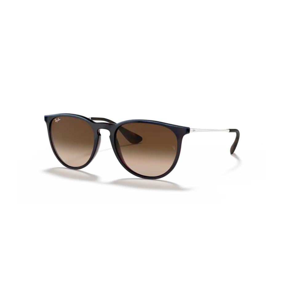 Ray-Ban RB 4171 631513 54 Erika Unisex Güneş Gözlüğü