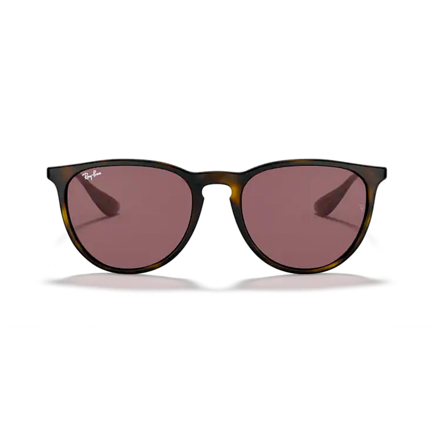 Ray-Ban RB 4171 639175 54 Erika Unisex Kahverengi Oval  Güneş Gözlüğü