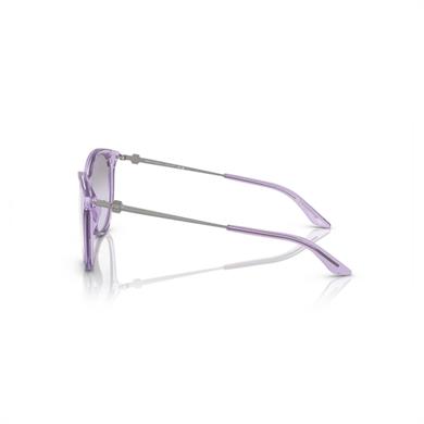 Armani Exchange AEX 4140S 82367P 55 Unisex Oval Lila Kemik Güneş Gözlüğü